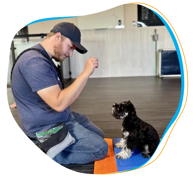 Blue Bell, PA Puppy & Dog Training