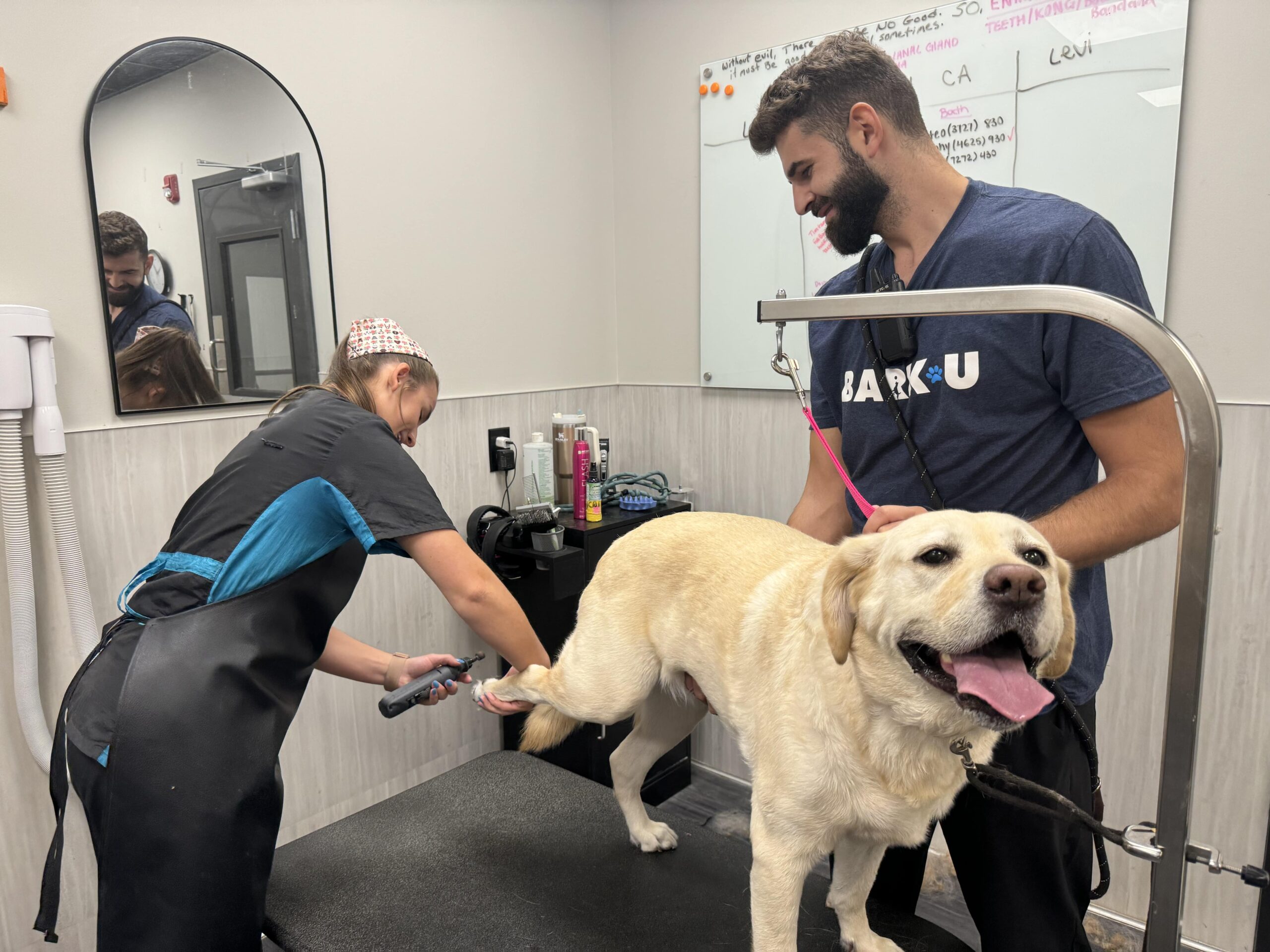 Image showcasing Nail Care for Dogs - Everything You Need to Know - BARK U