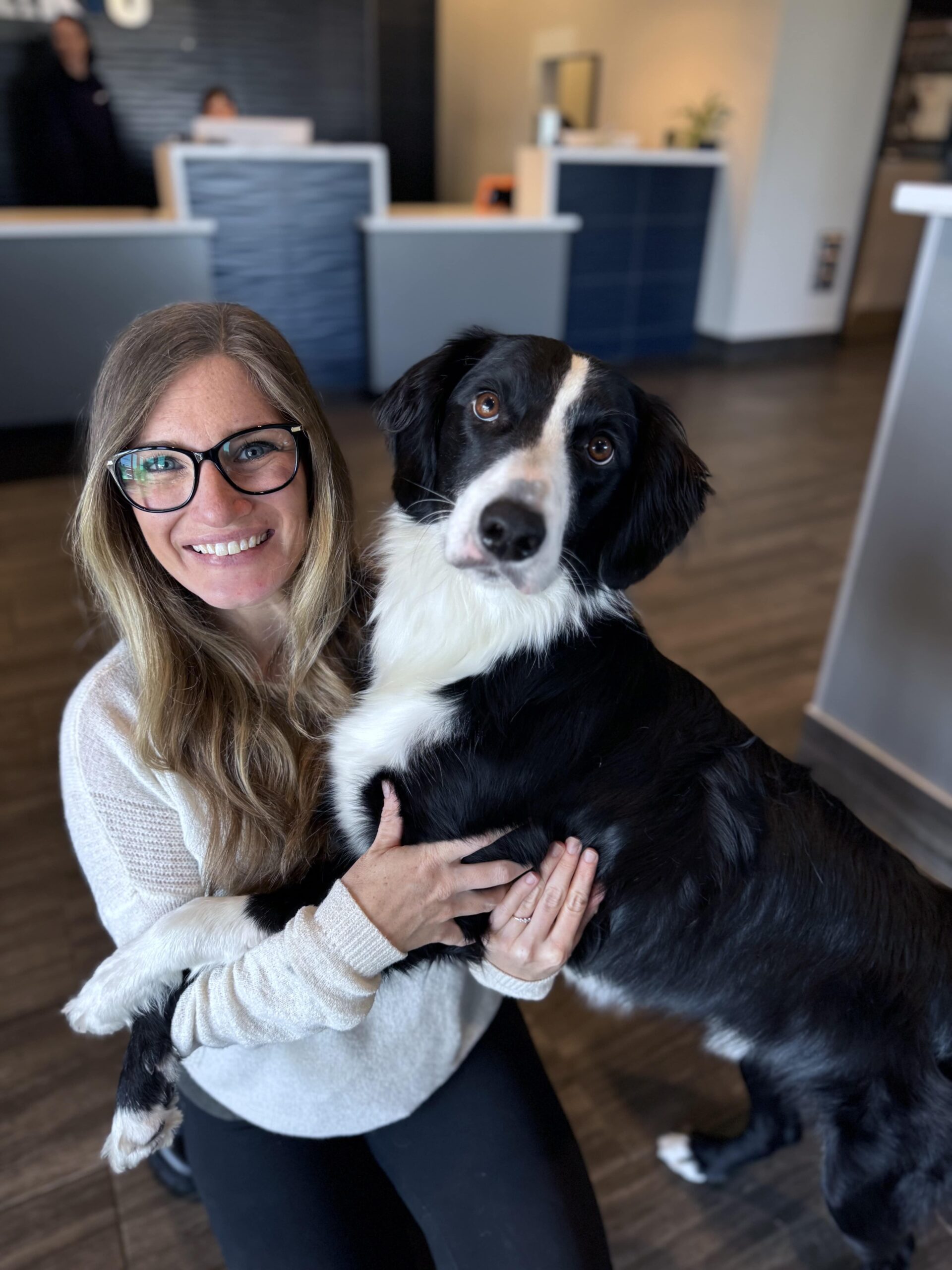 Visual Reference: Anxiety In Dogs Understanding Separation Anxiety