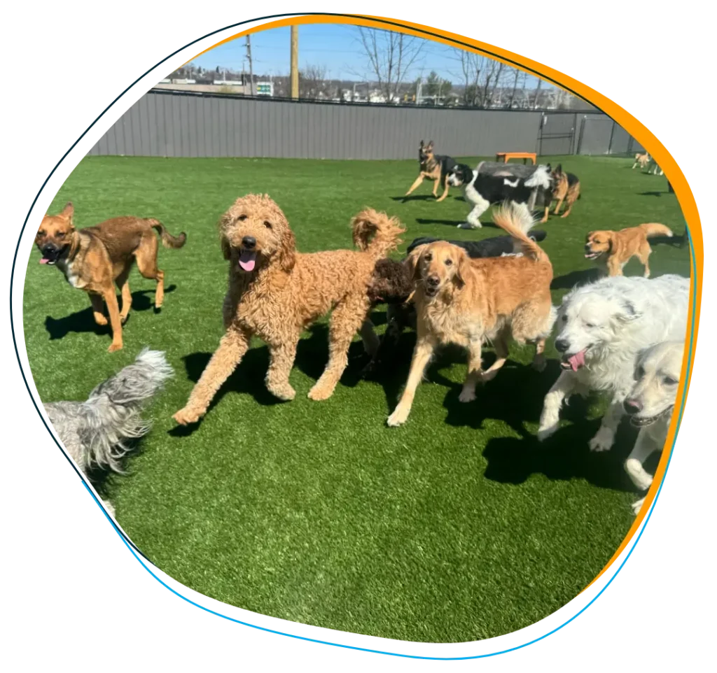 About Us - Our Expert Team