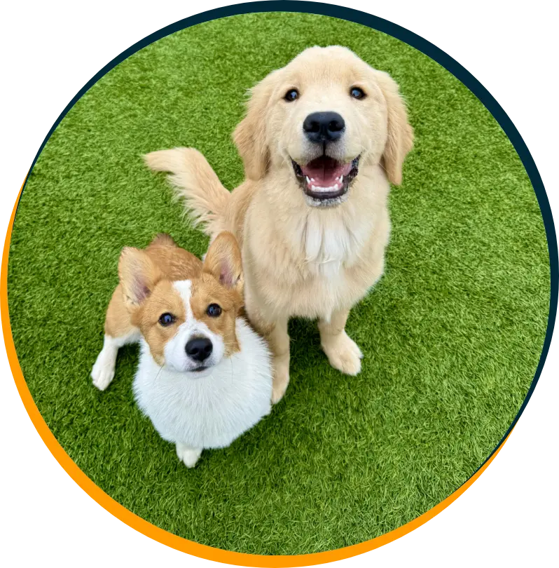 Exclusive Activities & Tailored Care