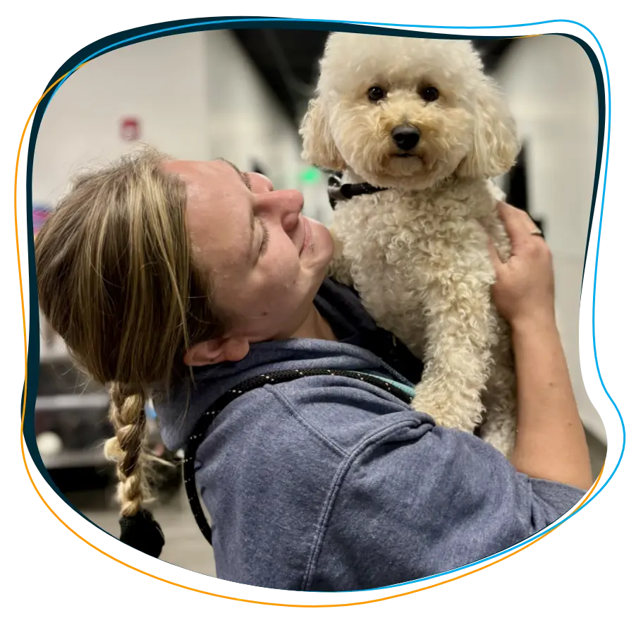 The BARK U Puppy Lounge